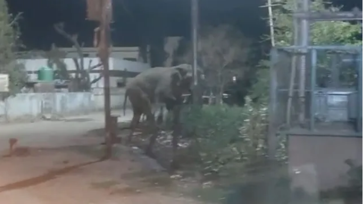 Capture