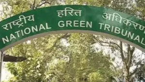 NGT-(1)-1771982286504_v