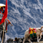 नंदा देवी बड़ी जात 5 सितंबर से शुरू, 12 साल बाद फिर सजेगा हिमालयी महाकुंभ
